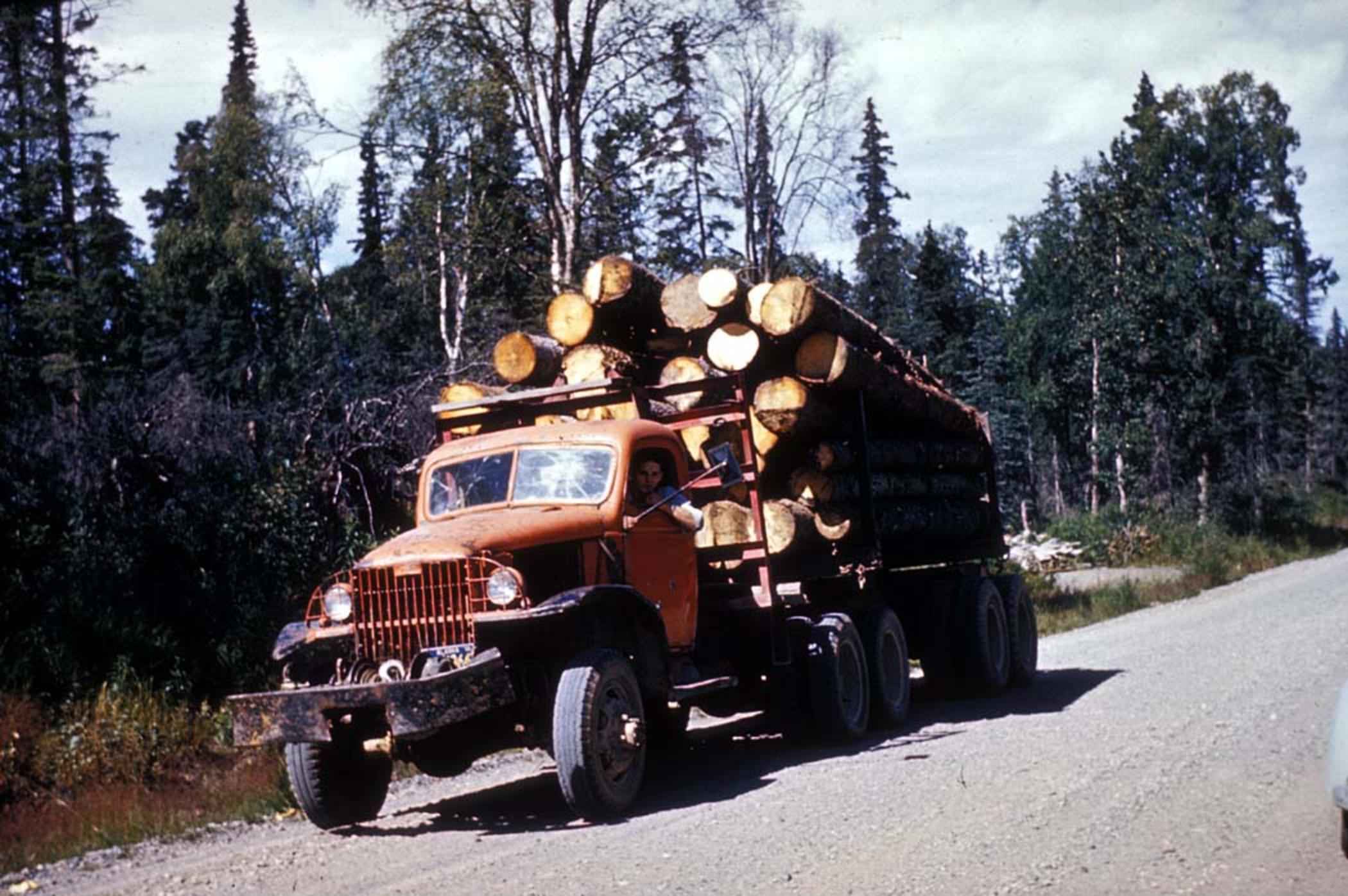 Timber road environment used as LogLoads evidence